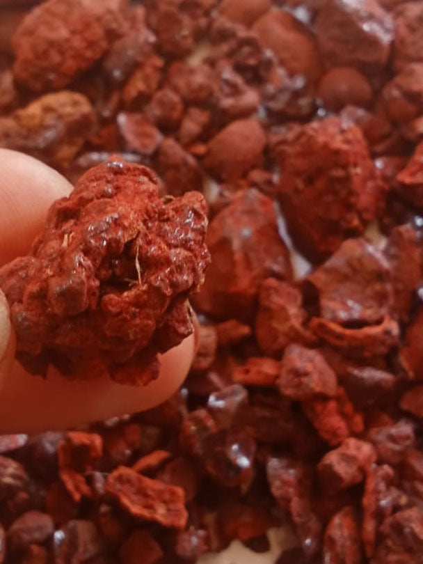 Dragon Blood Resins Socotra Island, Yemen (Last Batch Sale!)