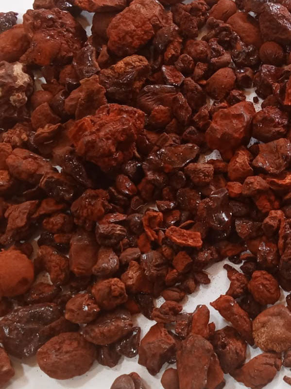 Dragon Blood Resins Socotra Island, Yemen (Last Batch Sale!)