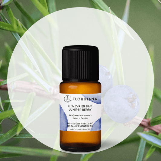 法國 有機 香薰精油 Florihana 香港 杜松果精油 France Organic Essensial Oil Florihana HK Juniper Berry 1