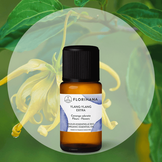 Florihana - Ylang Ylang Complete Organic Essential Oil