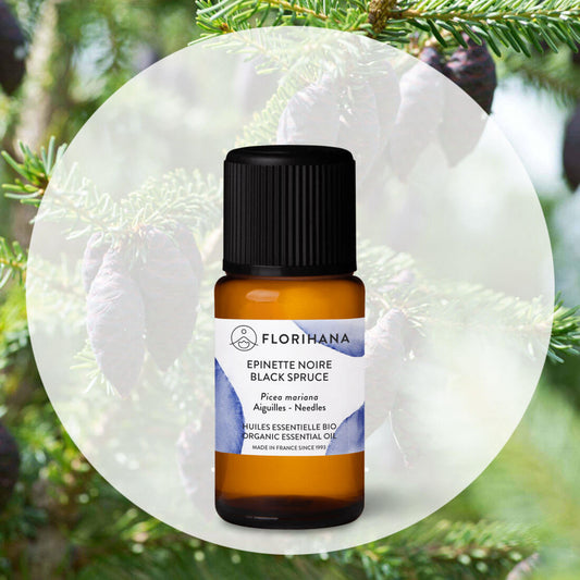 Florihana - Black Spruce Organic Essential Oil