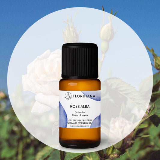 Florihana - Rose Alba Organic Essential Oil